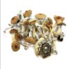 blue-meanies-shrooms
