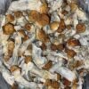 psychedelic mushrooms australia