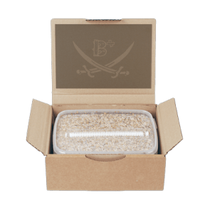 Magic Mushroom Grow Kit B+