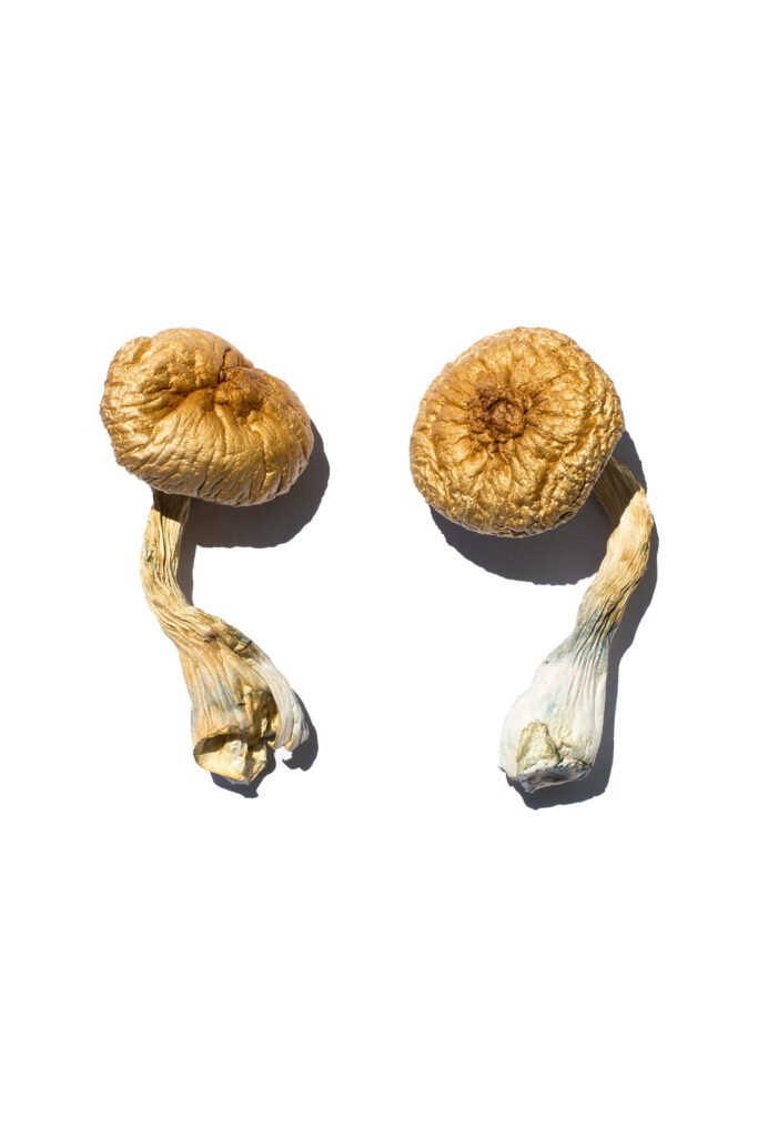 magic mushrooms for depression