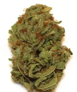 Blueberry Haze