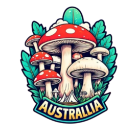 msapplication-TileImage