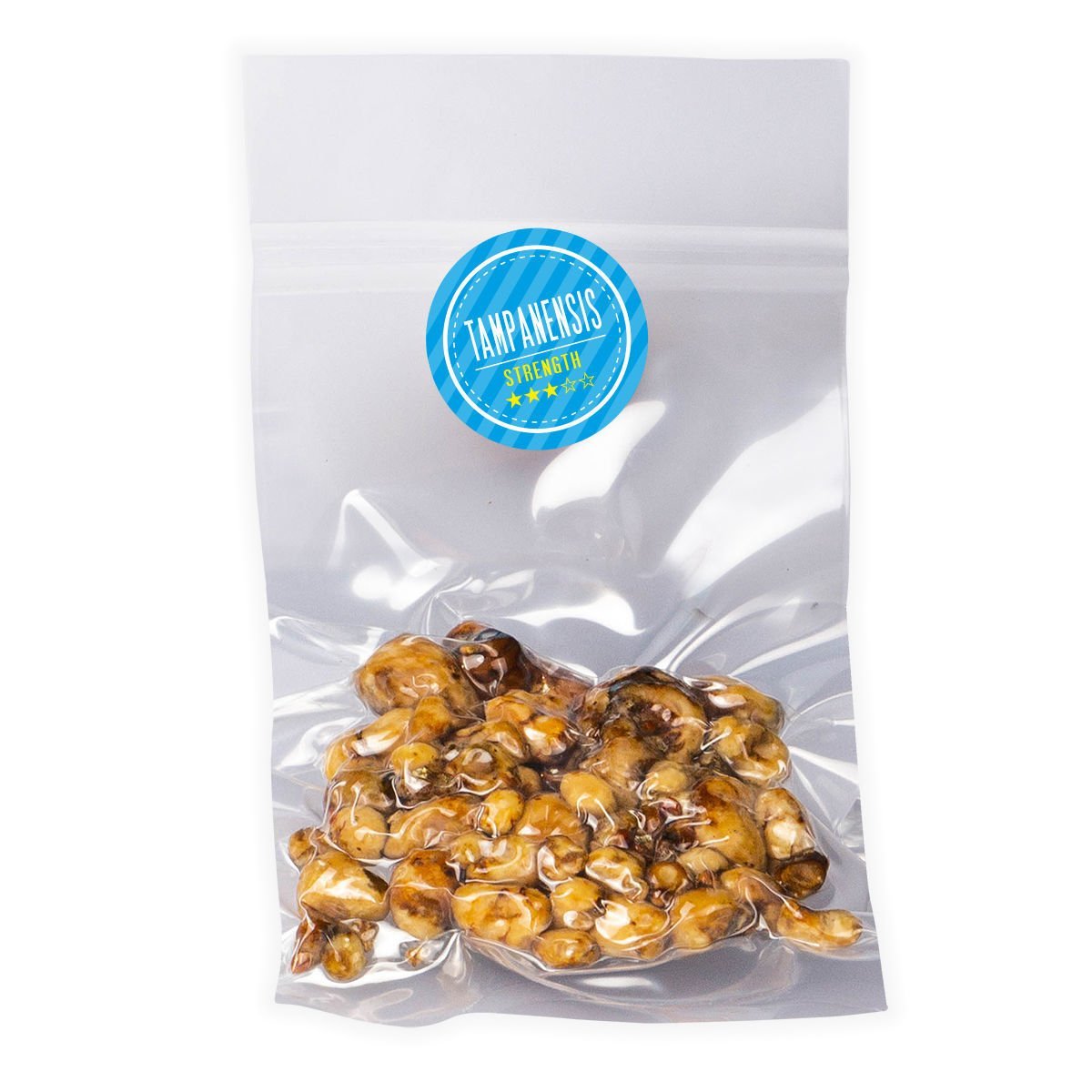 Tampanensis Magic Truffles - Magic Mushroom store