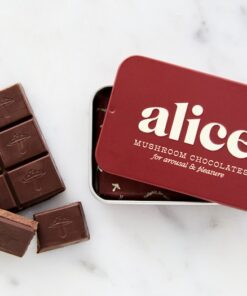 Alice Mushrooms chocolate