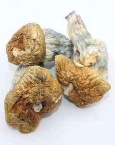 Melmac