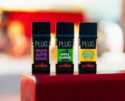 Plug and Play