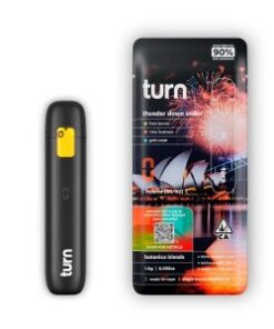 Turn Disposable 1g Vape