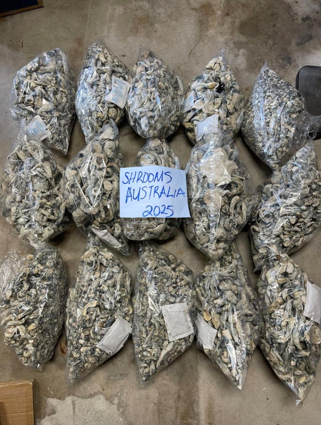 buy magic mushrooms online Australia